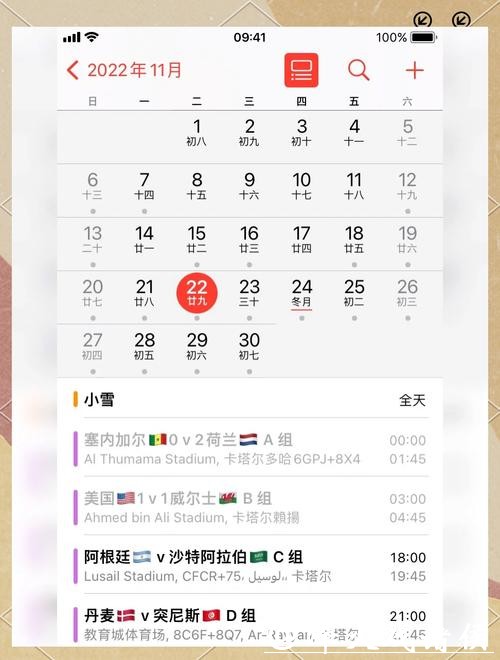 使用手机世界杯APP轻松下注指南